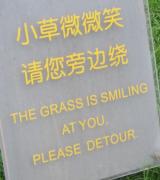 The Grass Is Smiling.JPG